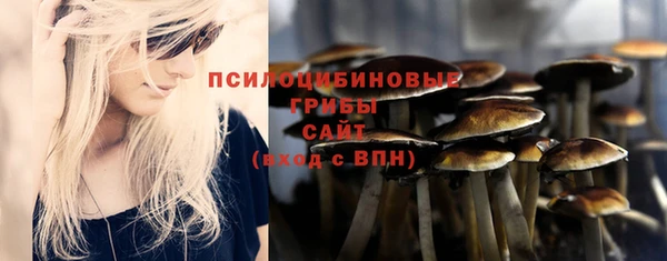 стафф Касимов