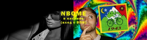 шишки Каменногорск