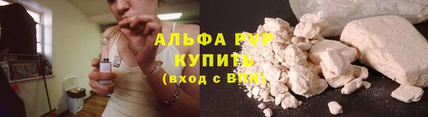 стафф Касимов
