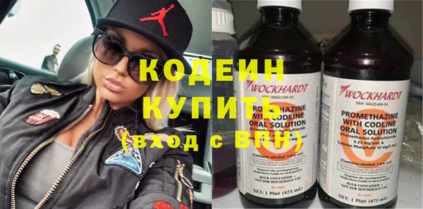 стафф Касимов