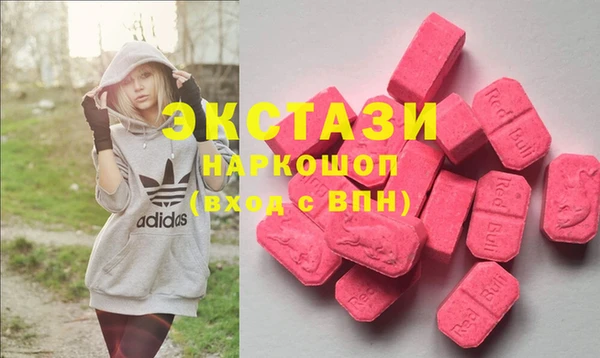 стафф Касимов