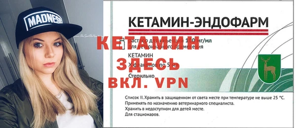 стафф Касимов