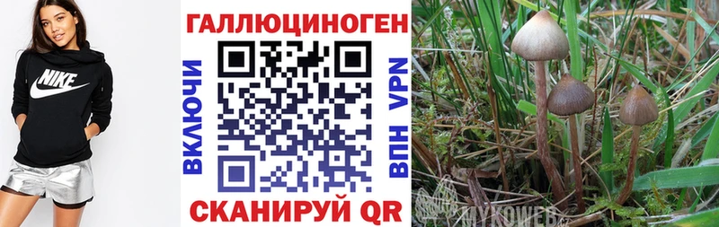 Галлюциногенные грибы мухоморы Михайловка
