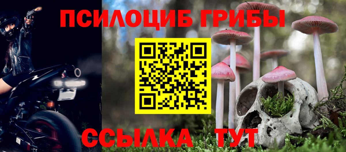Псилоцибиновые грибы Magic Shrooms  Галлюциногенные грибы Cubensis  Михайловка  Вход с VPN 